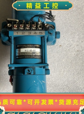 日本NIRECO驱动器K12-80-07正常拆机懂行需要--议价商品