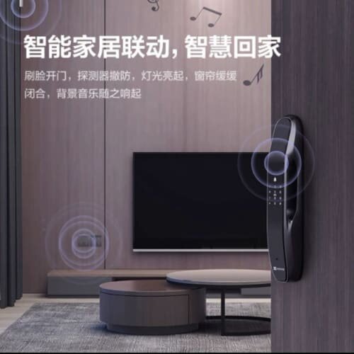 萤石门锁DL31FS密码锁，全新未拆封。霸王锁，霸王锁。--议价商品