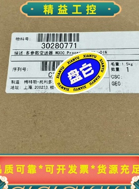 M300Process1-CH1/2DIN民顶现梅--议价商品