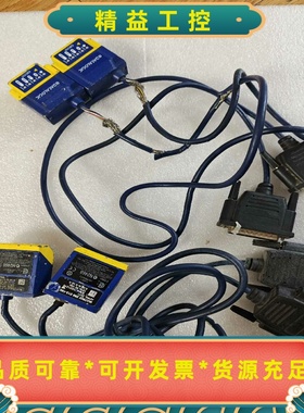 DATALOGICMATRIX210212-100，2--议价商品