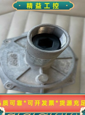 集咖RG020HC-1B意大利GECA燃气减压阀二手拆机，实--议价商品