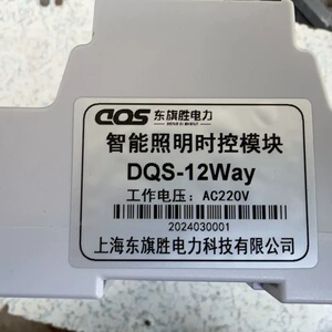 上海东旗胜智能照明时控模块 DQS-12Way--议价商品