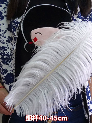 40-45 см. Свадебная мебель Свадебная обстановка страуса сцены