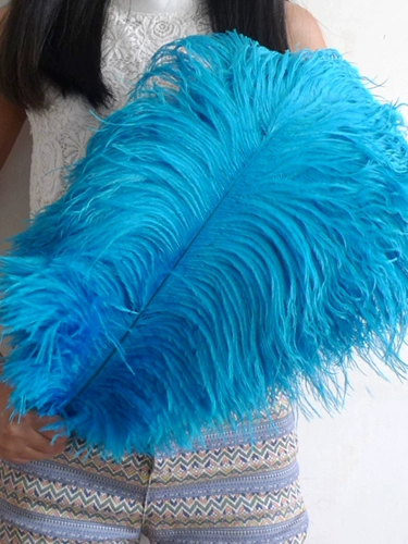 55-60 Южная Африка Импортированная страус -пера свадебная мебель