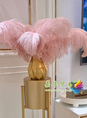 粉色鸵鸟羽毛天瑞天然羽毛