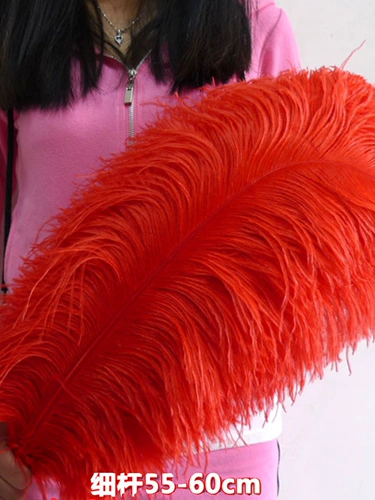 55-60 Южная Африка Импортированная страус -пера свадебная мебель