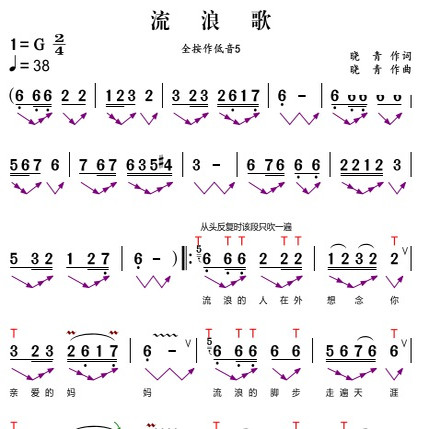 流浪歌葫芦丝高清指法乐器简谱音乐简谱PDF网盘自动发货
