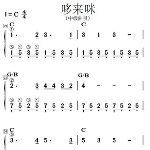 哆来咪网盘自动发货简谱钢琴高清和弦指法简化功能老年自学谱