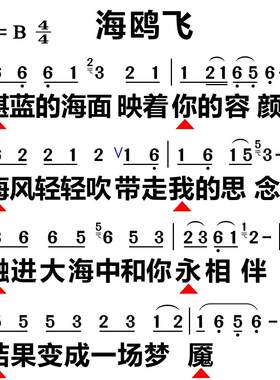 85海鸥飞 大字谱高清简谱教唱谱直播教唱歌谱