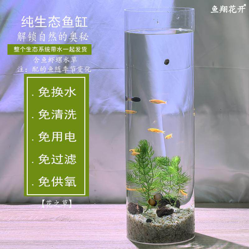 鱼翔花开免打理加湿器