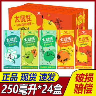 统一饮料太魔性柠檬红茶花茶甜橙金桔青梅整箱250ml*24盒装正品