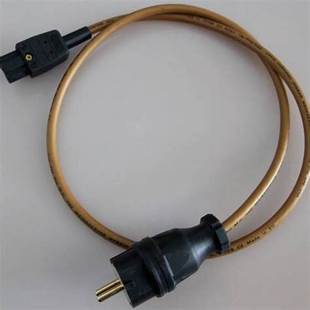 范登豪 小主流The Mainsserver 音源电源线 行货VDH荷兰VandenHul