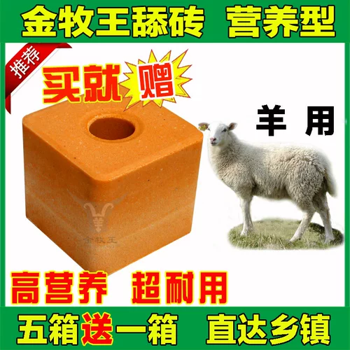 Овцы лизания кирпича золотистого стада король скот овцы с кирпичами и облизывание соляных кирпичей питательные жиры и кирпичи добавляют кусочки, чтобы лизать беременные соляные блоки скота