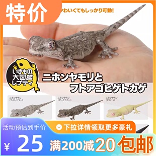 包邮 现货 万代 扭蛋 生物大图鉴 日本 守宫 胡须蜥 壁虎