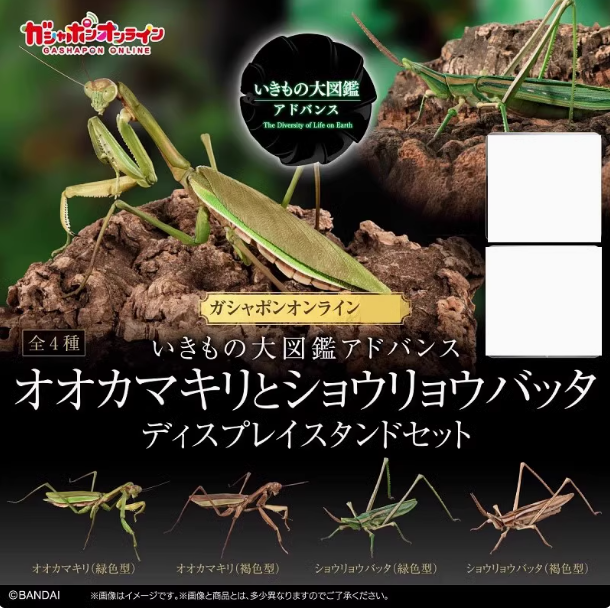 包邮 现货 万代 扭蛋 生物大图鉴 螳螂 中华剑角螳 蚂蚱 蚱蜢
