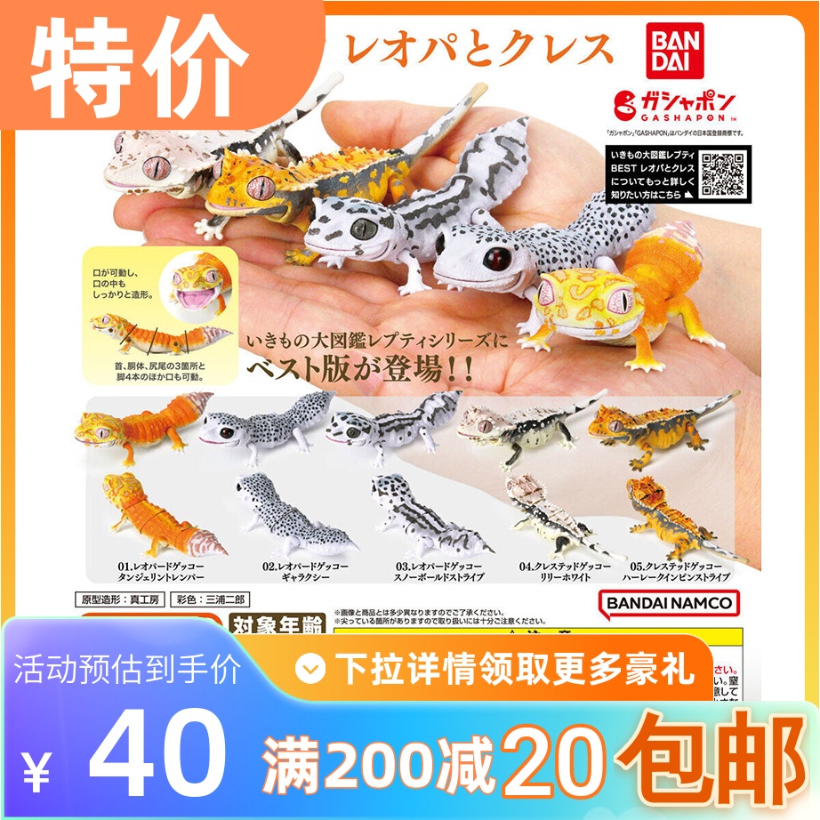 包邮万代生物大图鉴豹纹守宫