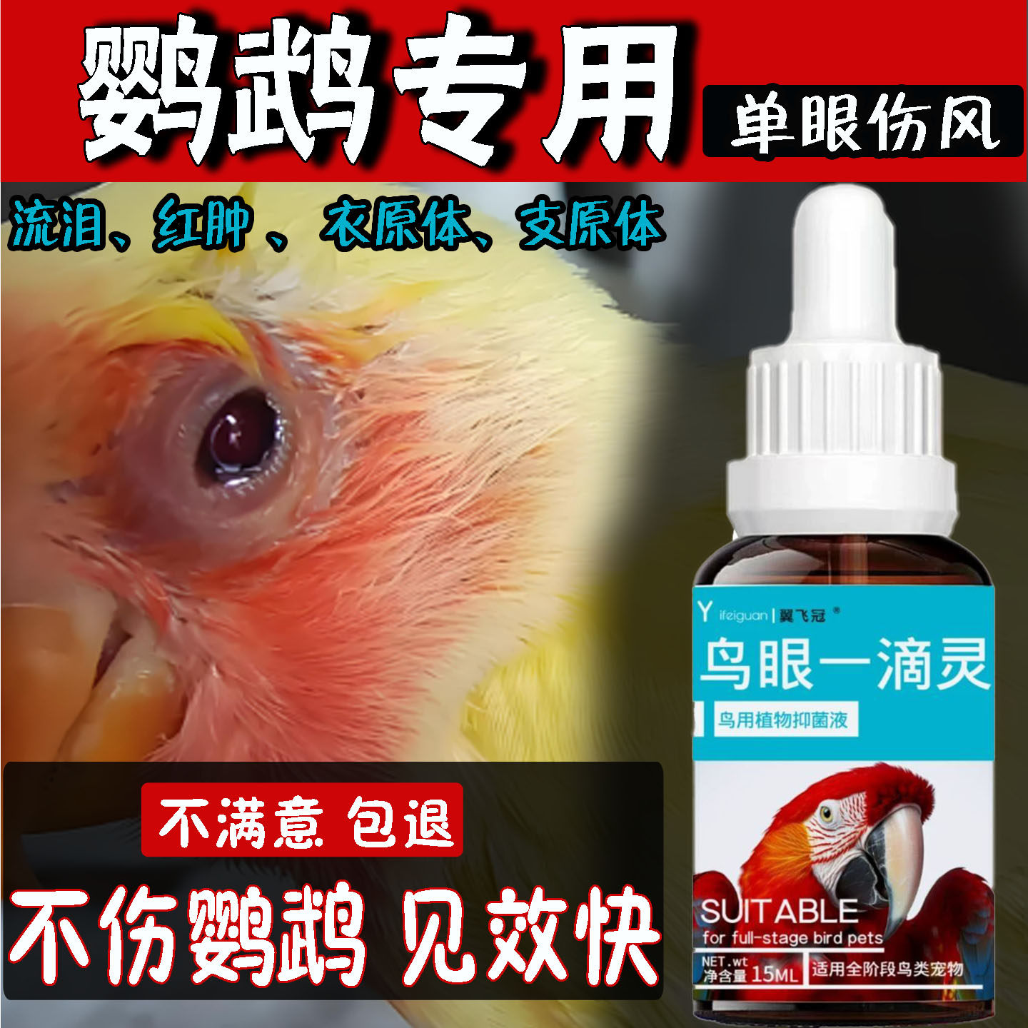 冀飞冠鹦鹉单眼伤风专用
