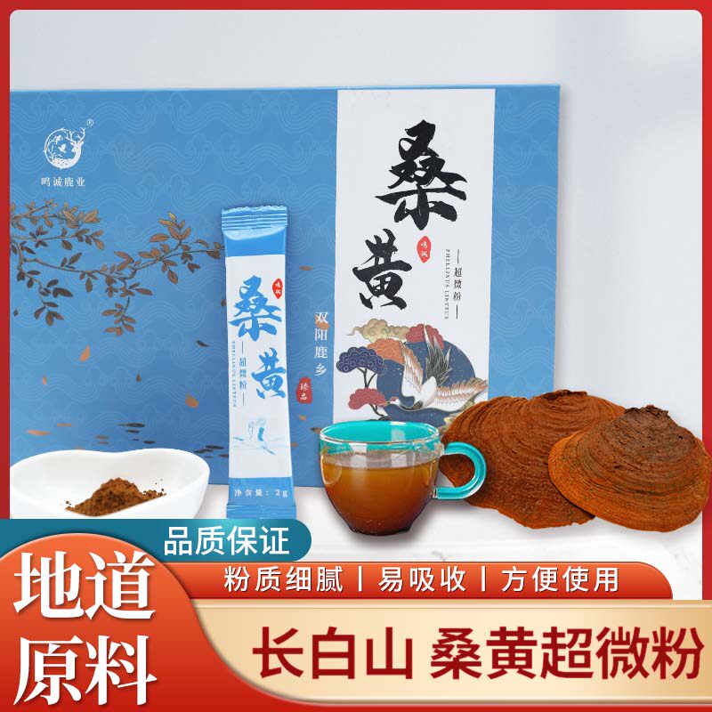 东北特产野生桑黄粉破壁灵芝磨孢子粉超微粉正品新鲜长白山桑树黄