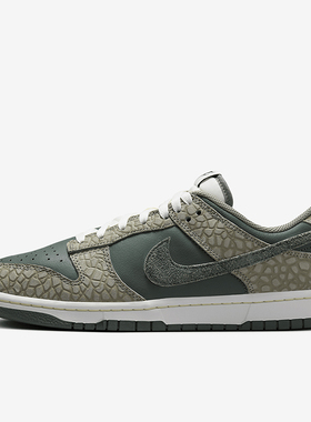 Nike/耐克正品 Dunk Low 男士复古低帮休闲板鞋HF4878-053