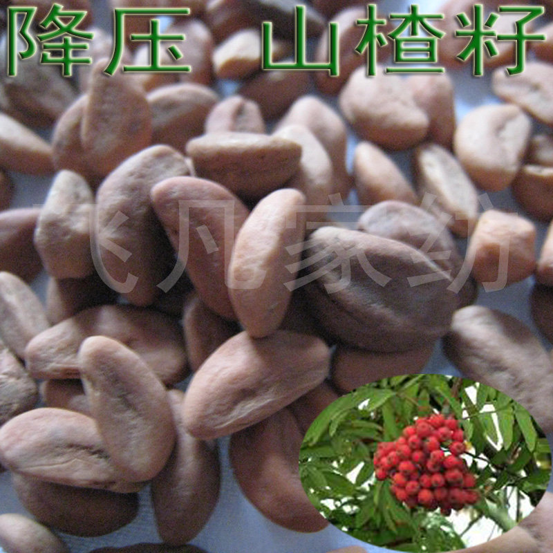 10斤包邮 水洗山楂子籽降压枕 颈椎保健枕头圆柱糖果枕芯填充