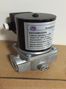 GIV15B220AGIV25B220AGIV20B220A电磁阀