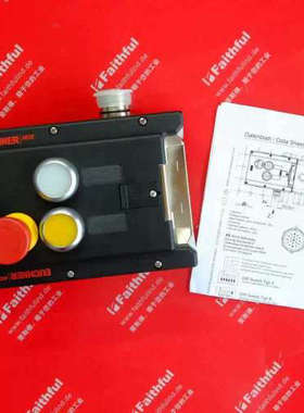 Euchner 110793 安士能安全开关 MGB-L1-ARA-AA2A1-S1-L-110793