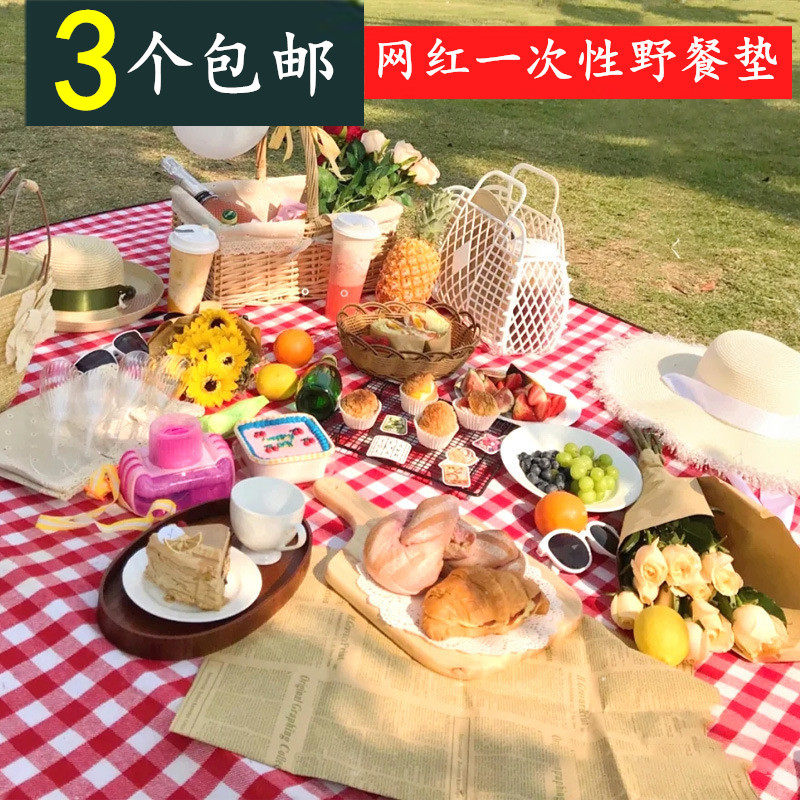 一次性桌布餐桌台布野餐垫户外野炊营沙滩地垫防水草坪垫子野餐布