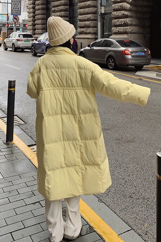 档口现货2023新款中长款立领白鸭绒羽绒服288A-921,女装羽绒服,浙宝095(原288A)
