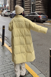 档口现货2023新款中长款立领白鸭绒羽绒服288A-921图片