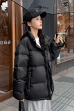 【有现货】2022短款加厚白鸭绒羽绒服288A-911-P195控298，女装羽绒服，浙宝095(原288A)