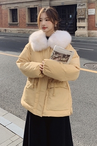【档口现货】两片式狐狸毛领 90白鸭绒羽绒服288A-922-P315-K458图片