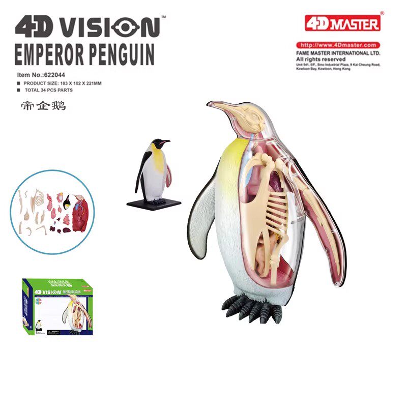 4D MASTER 帝企鹅内脏器官骨骼解剖模型动物教学拼装积木玩具摆件