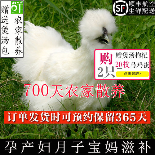 农家散养农村包邮五黑鸡生