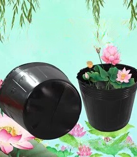 荷花盆加厚一次性黑色塑料无孔碗莲盆水生植物育苗盆睡莲盆营养钵