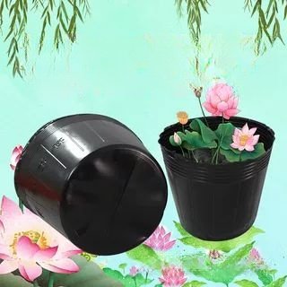 塑料无孔睡莲盆碗莲盆黑色荷花盆