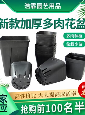 小黑方营养钵多肉植物塑料育苗盆