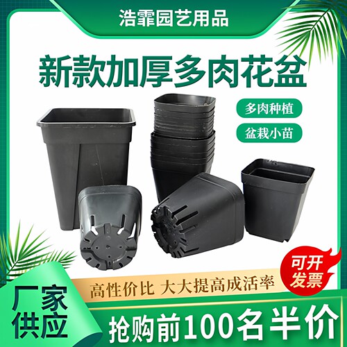 小黑方营养钵多肉植物塑料育苗盆