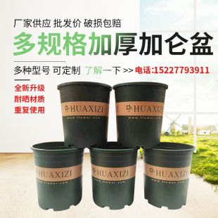 加仑花盆绿萝月季 多肉矮胖加厚型加仑盆园林种植大号高塑料圆形盆