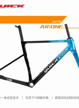 综合公路气动车架快客碳纤维