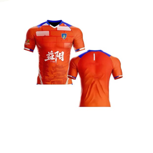 2025湖南湘超益阳主场岳阳永州球迷服短袖T足球球衣3D印花可定制