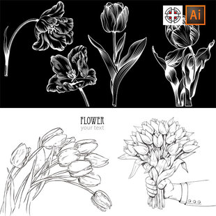 郁金香花卉花朵鲜花黑白剪影线稿线描草图背景AI矢量设计素材