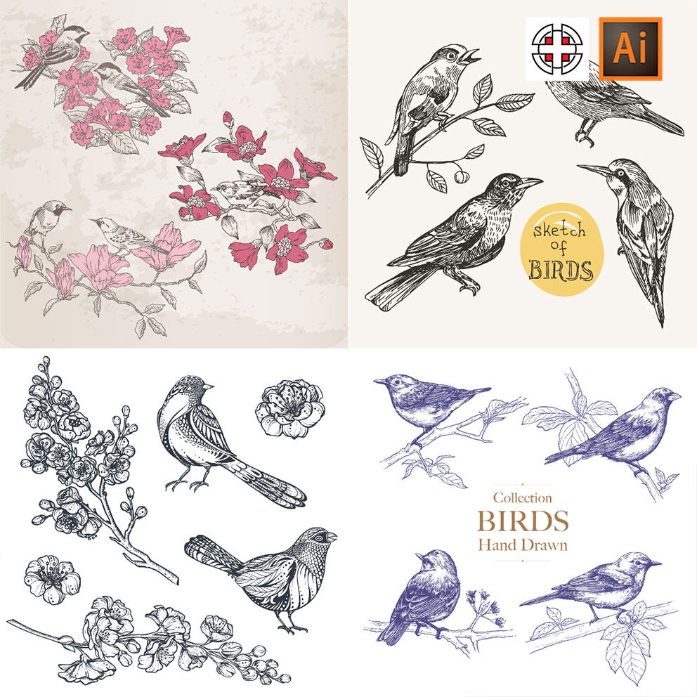 黑白手绘飞鸟小鸟花鸟草图素描简笔画ai矢量设计素材