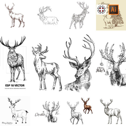 手绘黑白线描草图草稿麋鹿驯鹿插画AI矢量设计素材