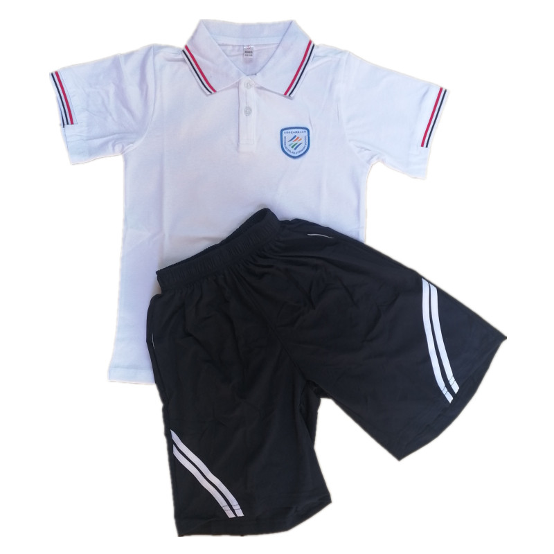 新品东莞松山湖第二小学夏季男女运动校服短袖上衣短裤套装促销