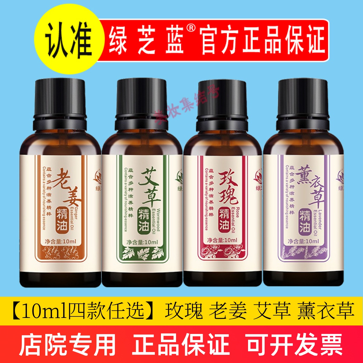 绿芝蓝艾草精油10ml老姜玫瑰薰衣草身体按摩SPA刮痧美容院家用