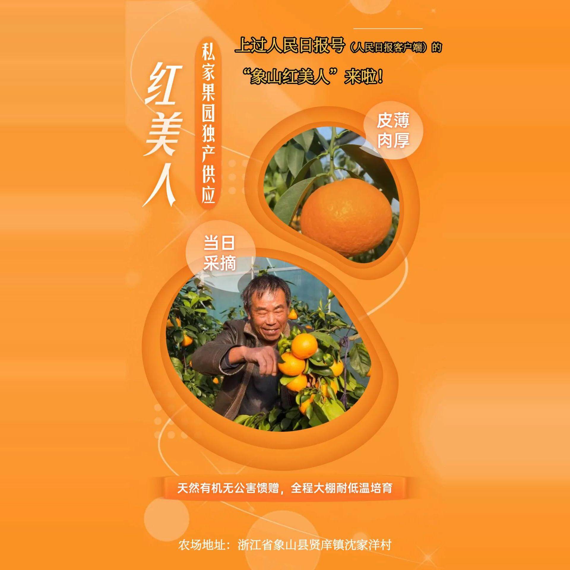 正宗核心产区象山红美人冻橙柑橘