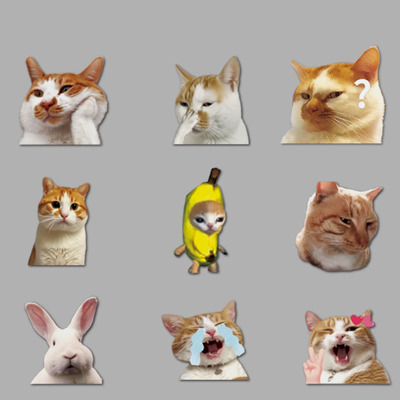 MEME猫汽车贴纸可爱搞笑迷因