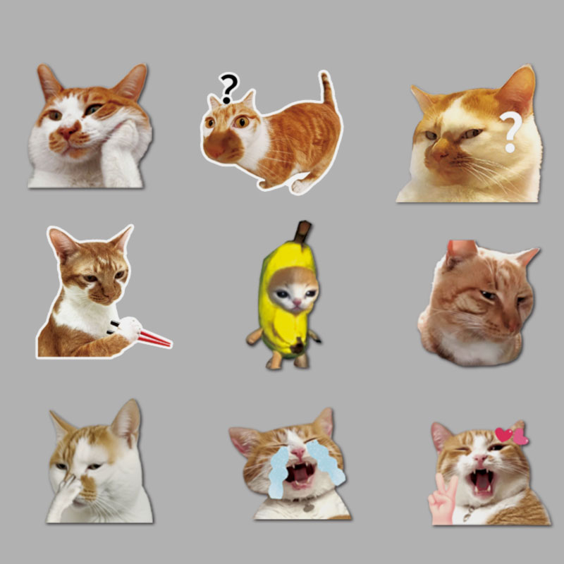 MEME猫汽车贴纸可爱搞笑迷因