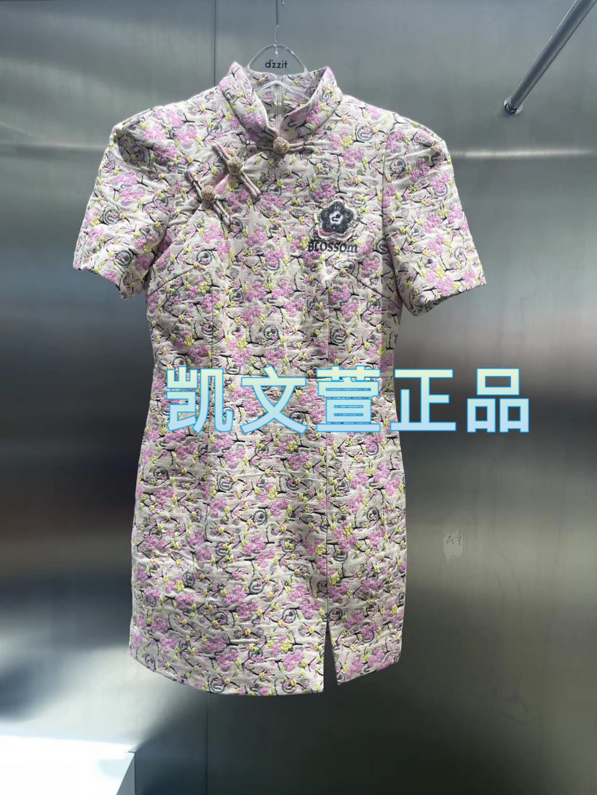 2024春款2-1专柜正品连衣裙