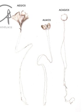 m.a+ Maurizio Amadei 925银项链系列